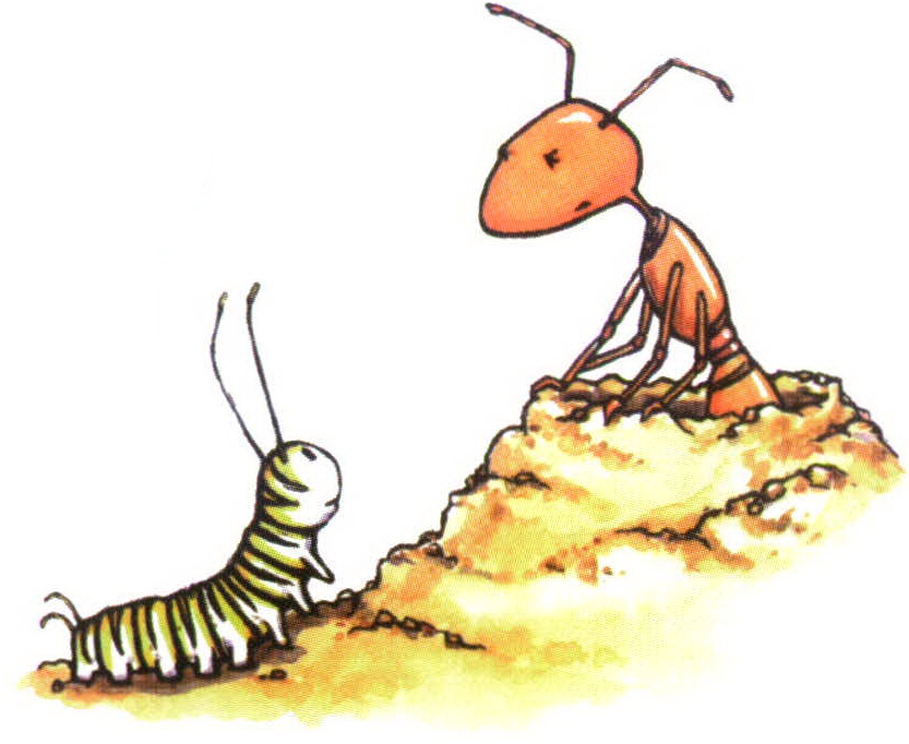 ant and caterpillar